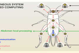 受蟋蟀启发，科学家研制混合 AI 芯片，耗资 300 万 欧元